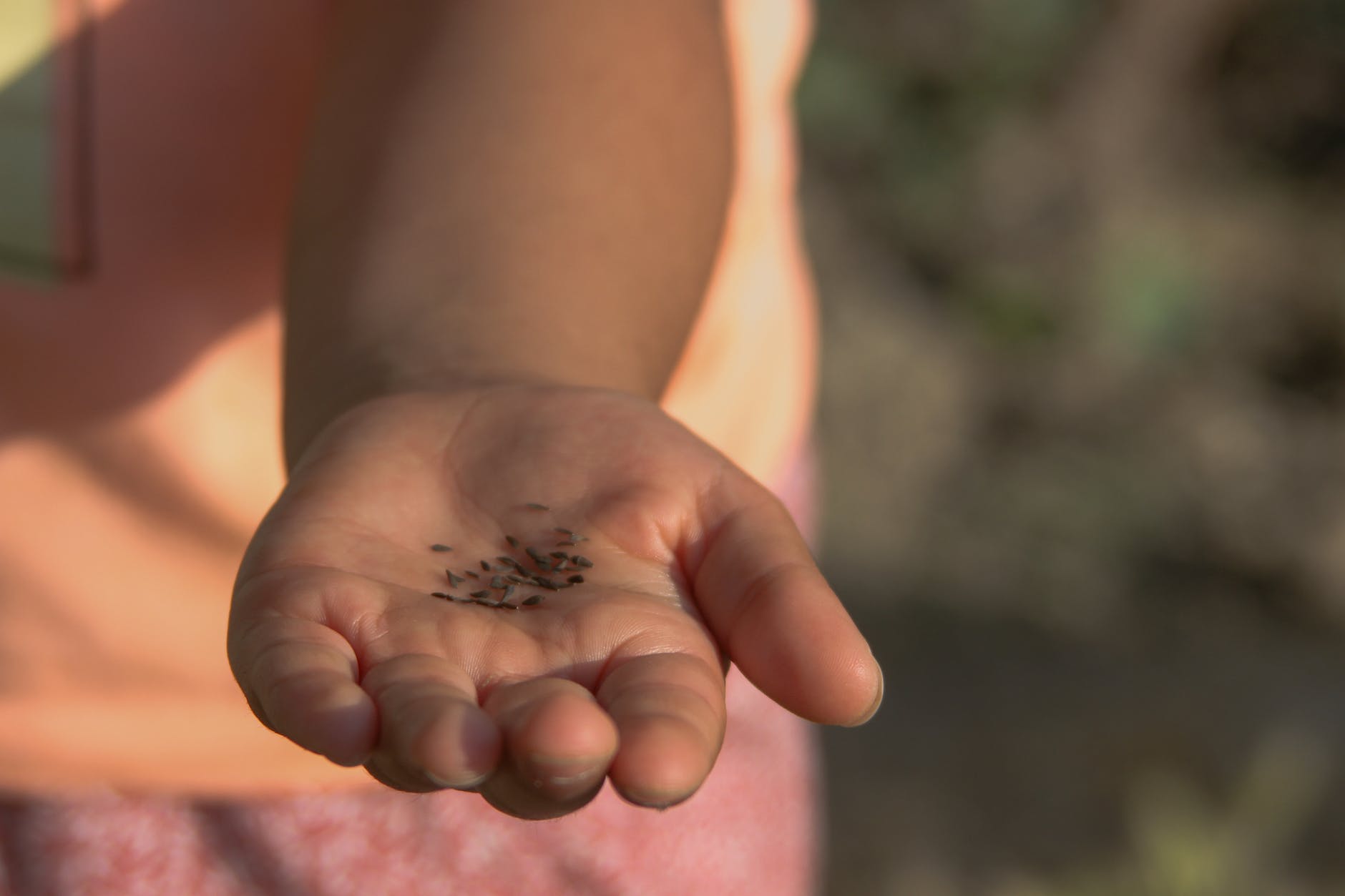 a person holding black seeds